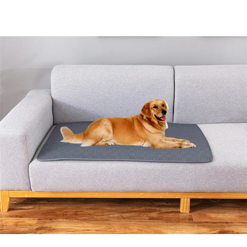 Tapete Higiênico Absorvente - Multiuso para Cães e Gatos